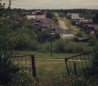 тропинка в родину