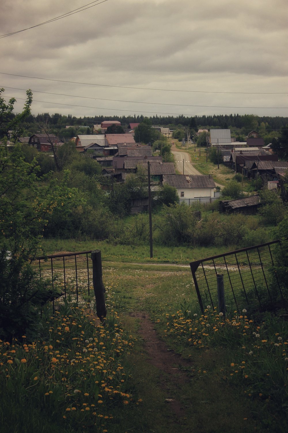 Тропинка в родину