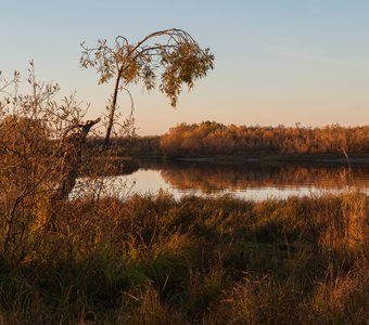 Заполярная осень