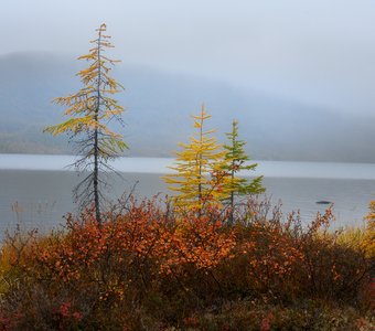 Осеннее трио