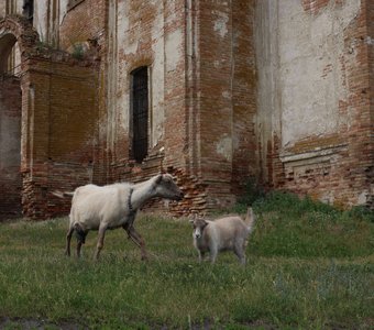 Село Стужень