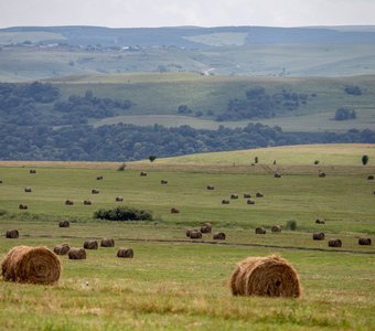 Между небом и землей