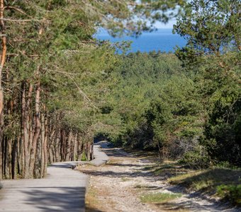 Дорога к морю