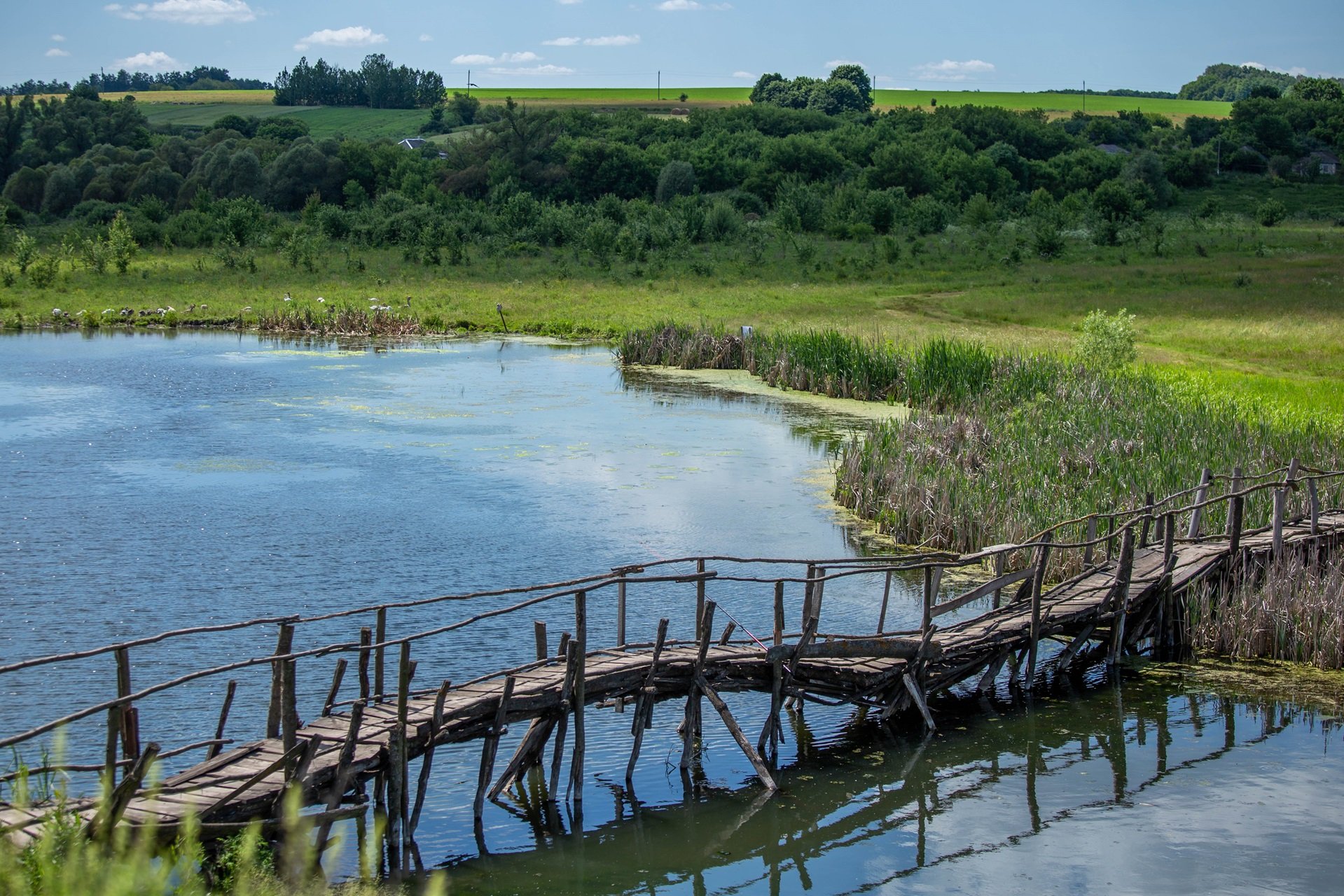 Мост через поколения