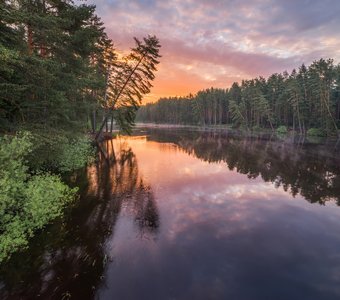 Тишина на маленькой речке