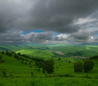 Долина Алтая.