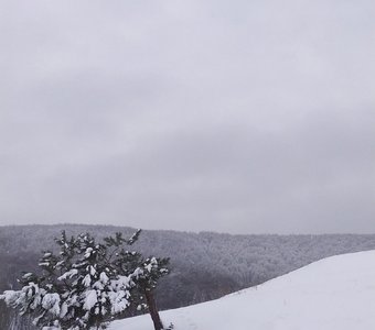 Саратов ,Октябрьское ущелье