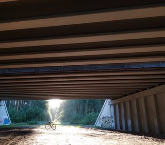 Под сенью КАДа