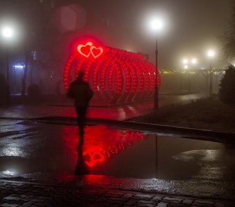 На аллеи любви ночью