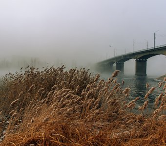 Вид на Бородинский мост, г. Камышин