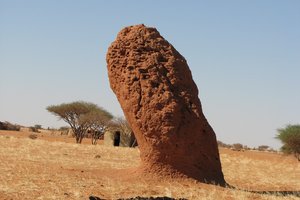 В Африке обнаружены древнейшие термитники возрастом 34 000 лет