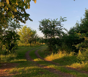 Проселочная дорога