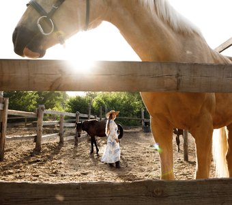 Конные прогулки