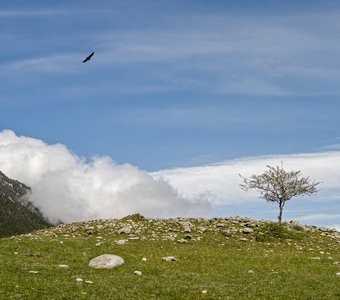 Горные просторы