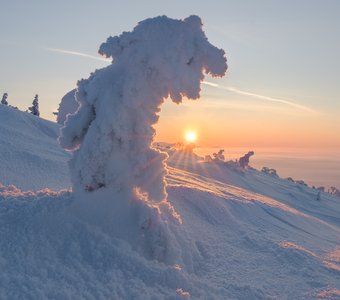 Снежный динозавр