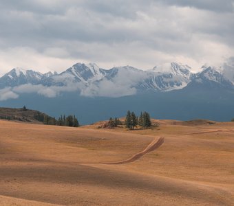 Курайский рай