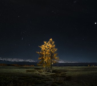 Один в поле