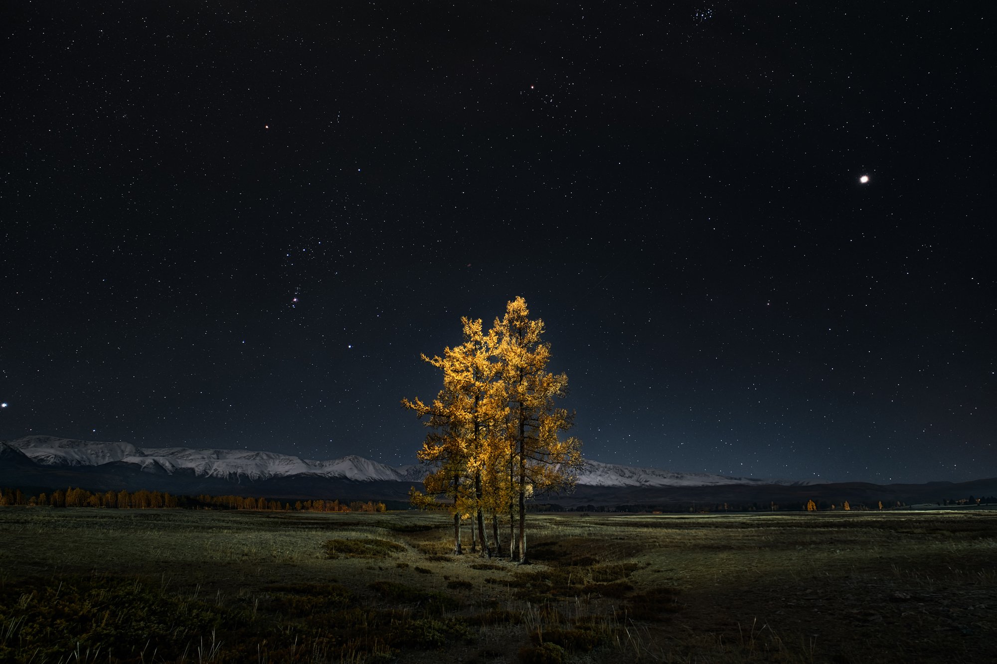 Один в поле