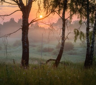 "В этой роще березовой"