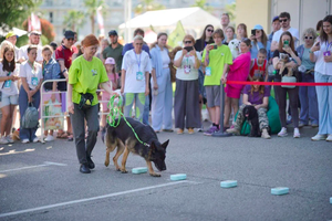 708 собак и кошек: в Сочи прошел фестиваль «Море лап» – для хозяев и их питомцев