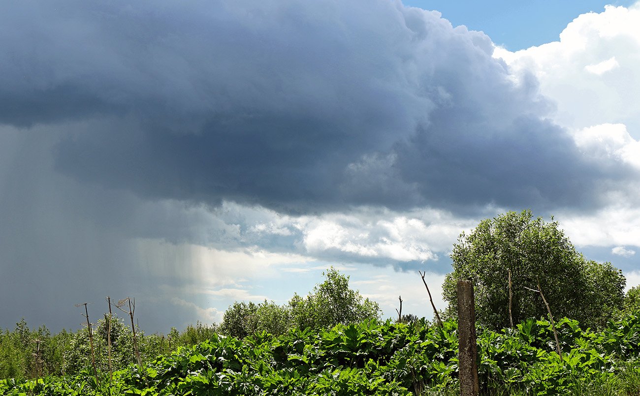 Дождь начинается