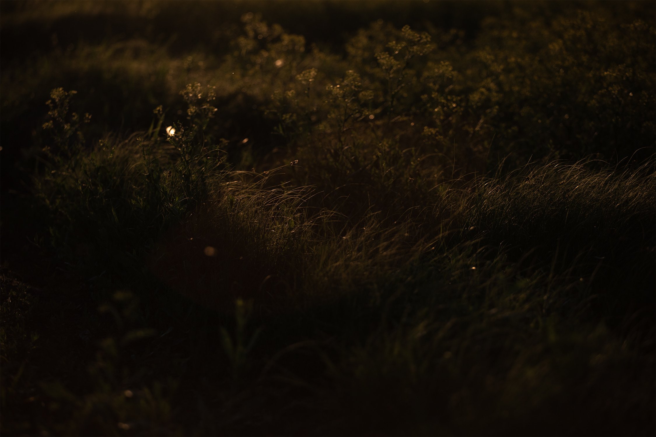 За тьмой последует свет