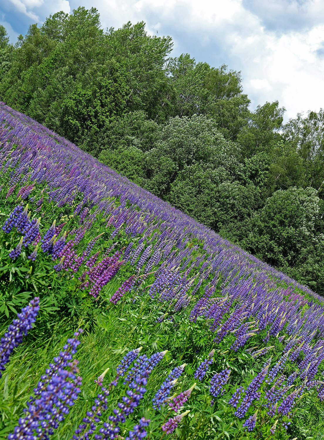 Головокружительно