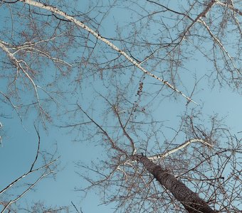 Мне бы в небо