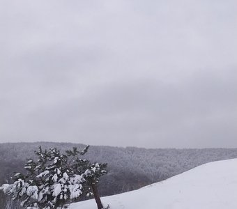 Кумысная поляна ,Саратов