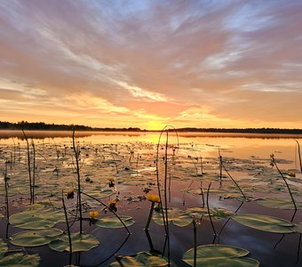 Восход солнца на Валдайском озере