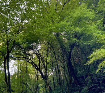 Краснодарский Край — место, в которое хочется вернуться