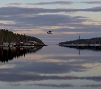 Полёт на Белым морем