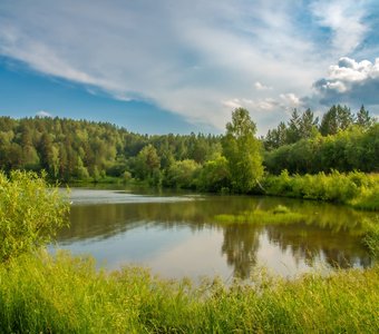 Заброшенный пруд