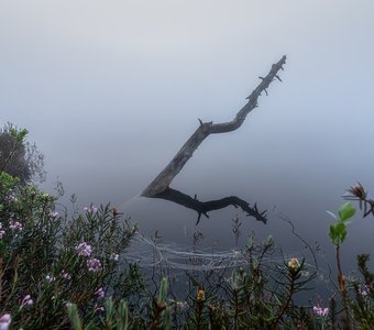 Утренний минимализм