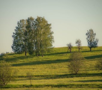 Родные просторы