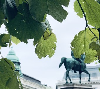 Галерея Альбертина. г.Вена