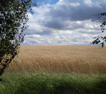 "Знамя природы"