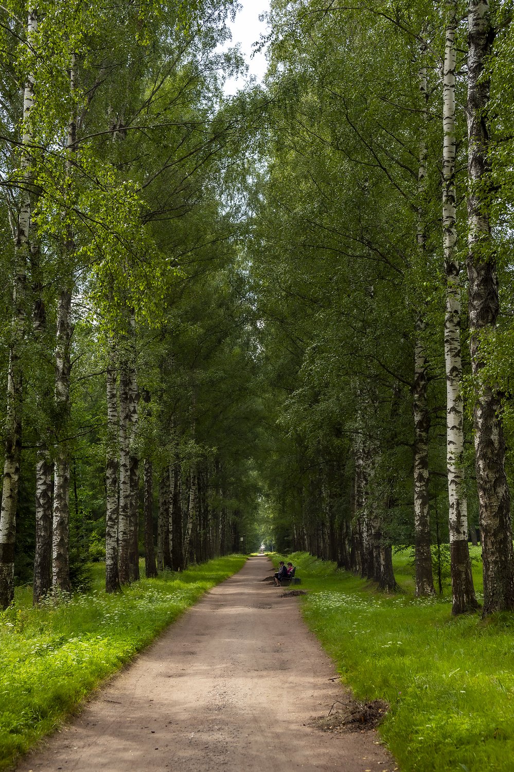 Павловский парк