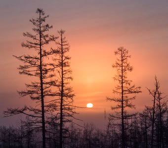 Морозное утро в Якутии