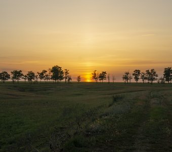 Красота рядом