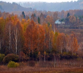 Краски осени