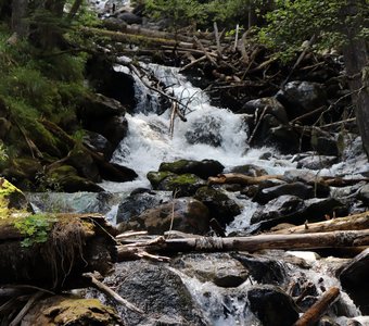 Путь воды