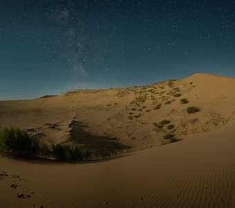 Сарыкумская ночь