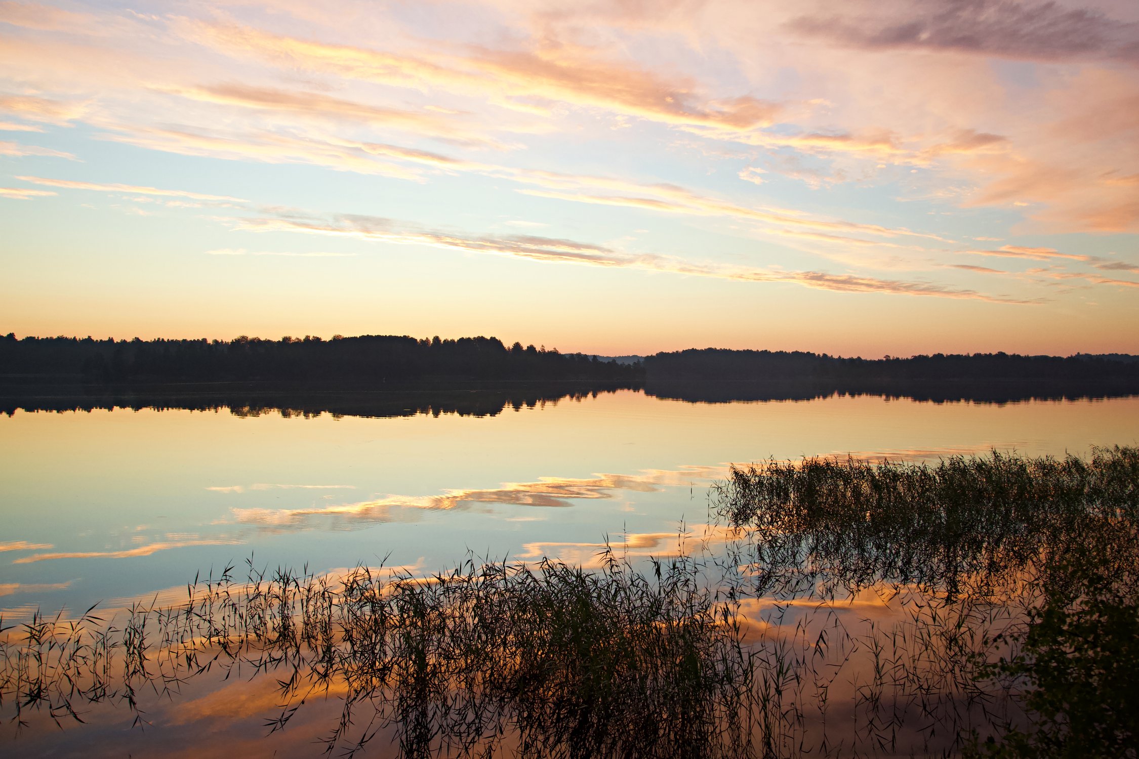 Перед пробуждением