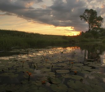 Рассвет