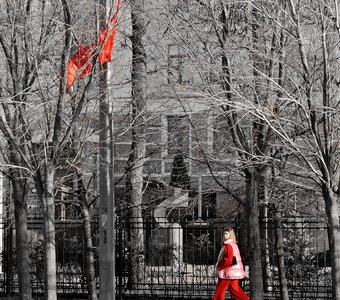 День красного