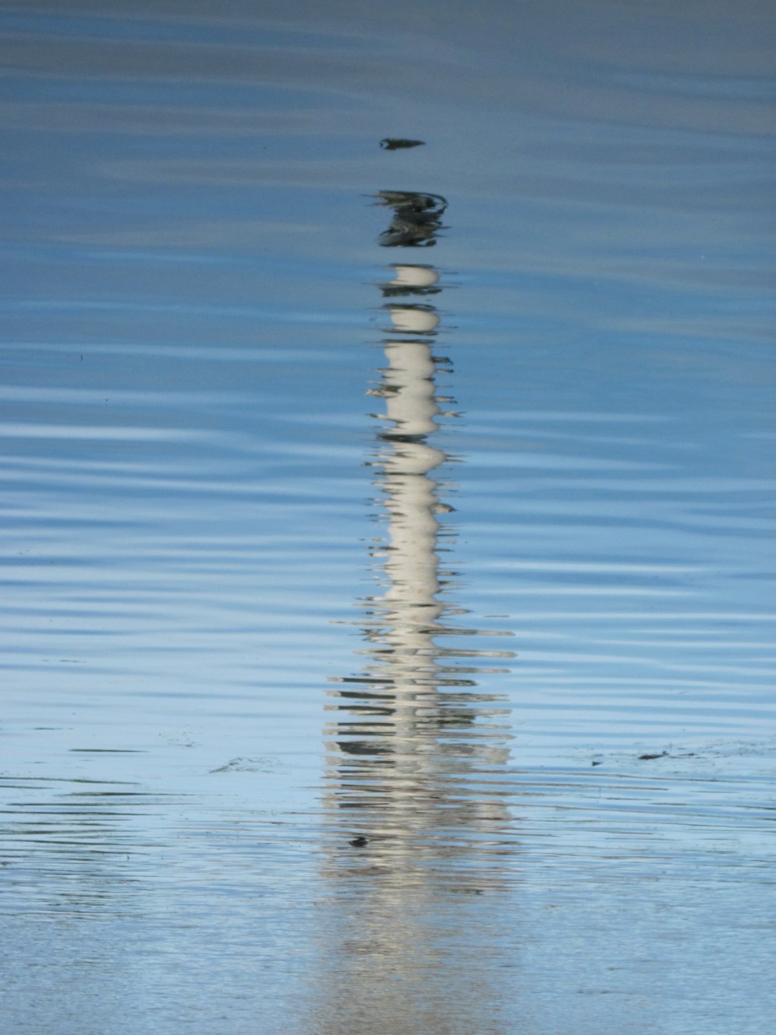 В отражении воды
