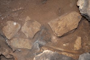 Эти 12 000-летние палки участвовали в древнем магическом ритуале