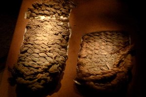 Выяснилось, что люди начали носить обувь 10 тысячи лет назад