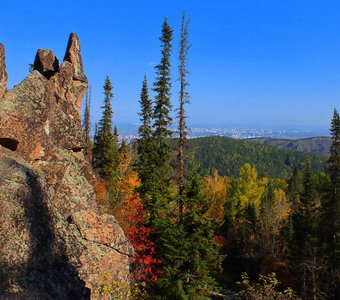 Краски осенней тайги